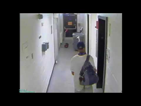 Person of Interest in Lewd and Indecent Acts, 5600 b/o Connecticut Ave, NW, on August 11, 2018