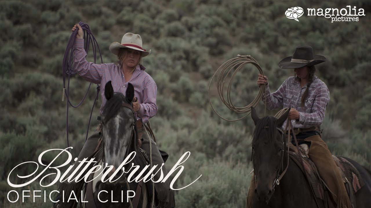 Bitterbrush - Horse Riding Clip