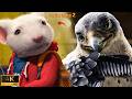 Stuart Little Vs Giant Falcon Stuart Little 2