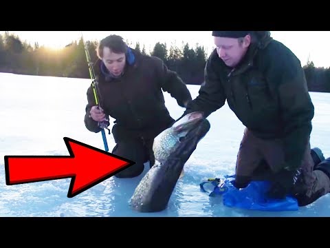 Isfiskeri efter gedder i Sverige