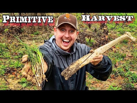 7 Day $100 Walmart Survival Challenge - Day 4 - Primitive Wild Survival Food