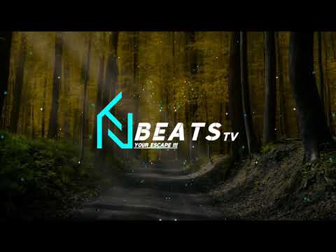 Puri & Tribal Kush - Nu NU NU Ft.Karl Wine (LIANO Remix)