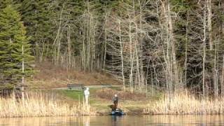 preview picture of video 'Moose VS Bellyboat Fisherman'