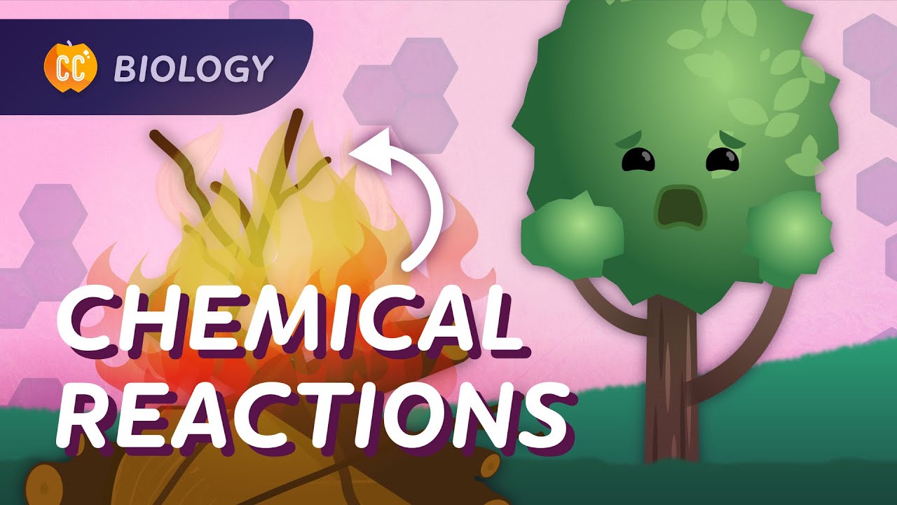Ch.5 Energy, Reactions, and Enzymes
