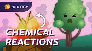 How Do We Get Energy? (Chemical Reactions): Crash Course Biology #26