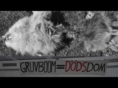 Minou Moon, Fältbiologernas ordförande "Surkål utan brunkol"