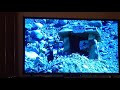 The Flintstones Theme Intro With Lyrics