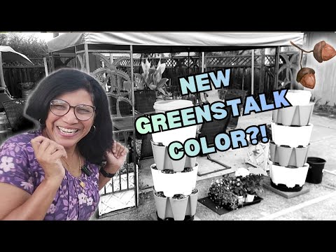 Sneak Peek at a NEW GREENSTALK COLOR❄️, and Tour of my Fall Garden