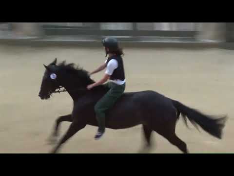 1° PROVA NOTTURNA - 28 GIUGNO 2023