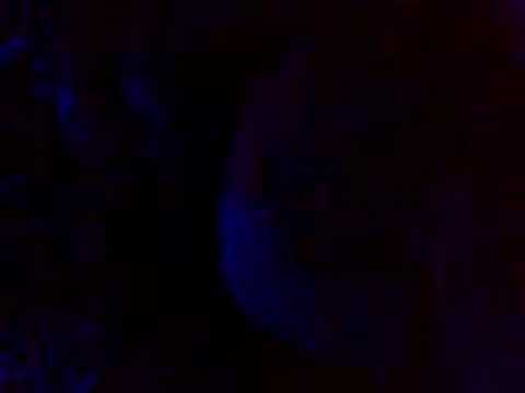 gatecrasher 2008 paul van dyk2