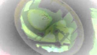 Later than Soon-Shadow Pictures Pt. I & II