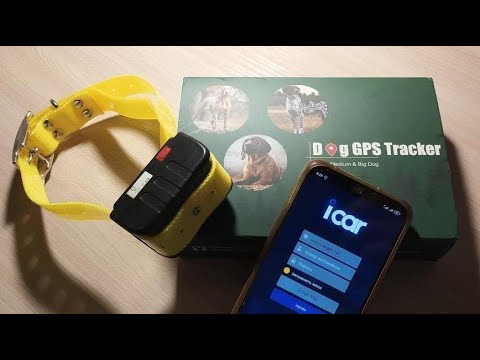 DOG GPS Tracker IK122 (ICAR). Обзор и тест. Достойный аппарат