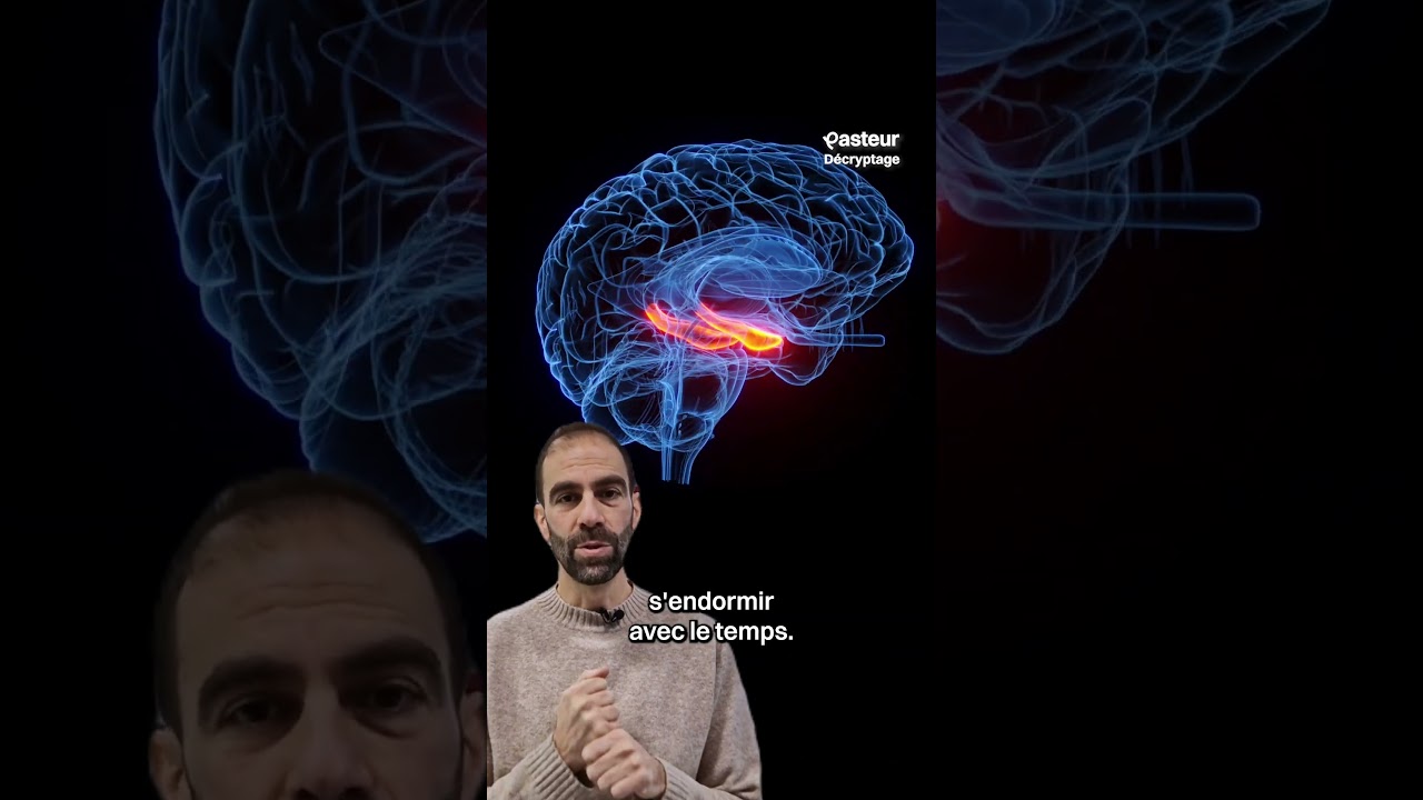 Réparer le cerveau ?