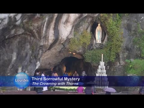 HOLY ROSARY FROM LOURDES - 2022-12-16