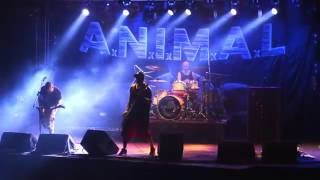 Animal, Esperando el Final, Foto Mauro Mcbraian