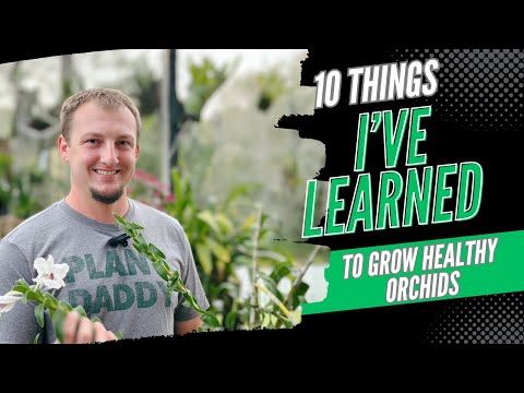 10 Things I’ve Learned to Grow Healthy Orchids  (AND BONUS TIPS!)🪴