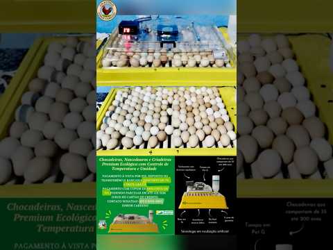 Iaciara no Goiás recebe a Chocadeira IP 130 Premium Ecológica. Cupom de Desconto: 📲 (87) 99993-6893