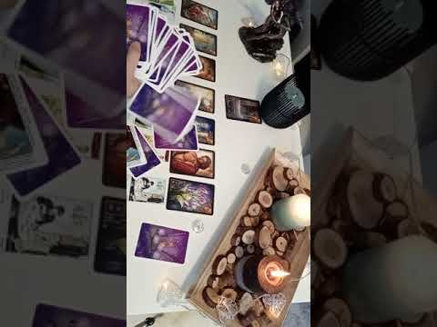 Wochenorakel (23.11.2020 - 29.11.2020)