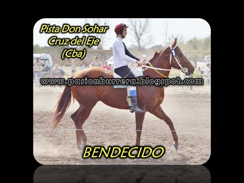 Bendecido, Pista Don Sohar - Cruz del Eje (03-09-17)