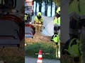 MAN (18) uit BEESD komt om bij ONGEVAL | #Shorts