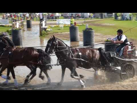 DEGRIECK Dries, BEL, CAI3# Kronenberg NED, Marathon Ob 3, H 4, 22 04 2018