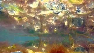 AFTERLIFE - SALT WATER WAVES HD