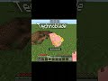 Minecraft TechnoBlade
