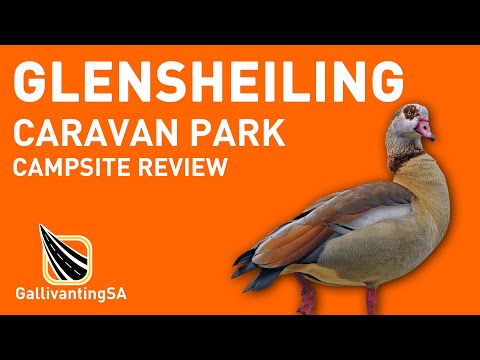 Glensheiling Caravan Park, Nottingham Rd, KZN - Campsite Review - April 2023