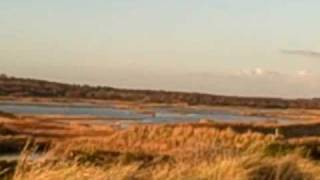 preview picture of video 'RSPB Central London Local Group Minsmere coach trip 061208.wmv'