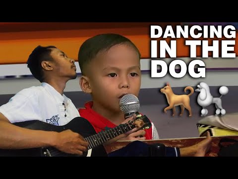 download lagu mp3 mp4 Dancing In The Dog, download lagu Dancing In The Dog gratis, unduh video klip Dancing In The Dog