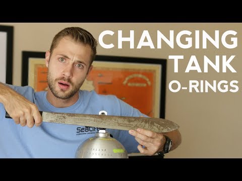 Changing Tank O-Rings | Quick Scuba Tips