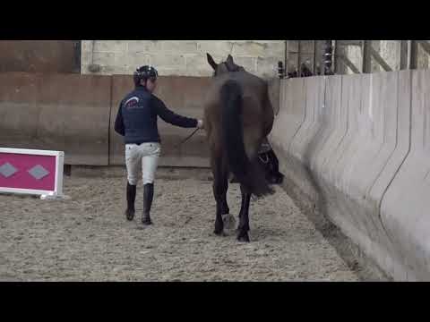 JENNY DE LA PISTOLE APLOMBS