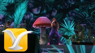 Bomba Estéreo - El Alma y el Cuerpo - Festival de la Canción de Viña del Mar 2026 - Full HD 1080p