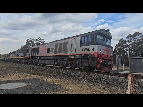 6PM9 SCT up "Dark Ghost" (8 locos), Forrestfield to Laverton, 1635, 30/12/24, Ararat West VIC