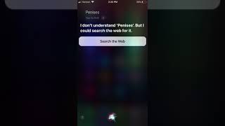 Download lagu Phone sex mp3