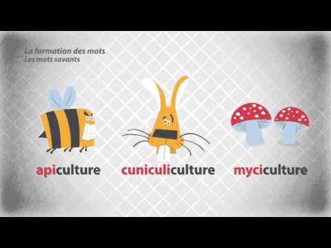 Formation des mots - Les mots savants