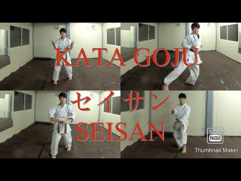 【360°VR】KATA Goju Ryu "Seisan“