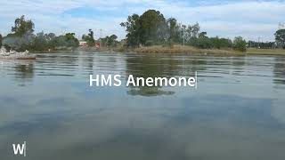 1/72 Scale RC Warships HMS Oak & HMS Anemone with TF72 25Jul24<div class=vauth>Dave Manning</div>