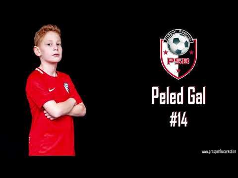 Gal Peled – Highlight Video - Half season 2020