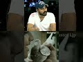 Parava Status Paravatraining Malayalacinema Soubinshahir Soubin Status