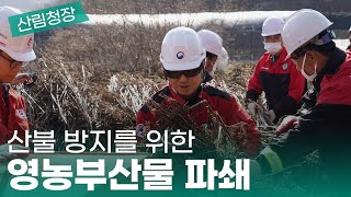 산불 방지를 위한 영농부산물 파쇄 및 산불조심 캠페인