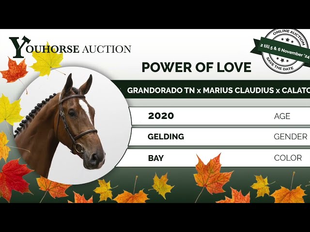 Power of Love showvideo