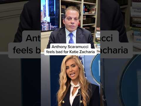 Anthony Scaramucci feels bad for Katie Zacharia