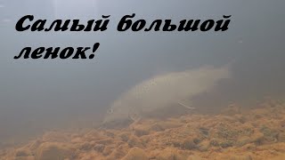 Как ловить ленка в августе 2020