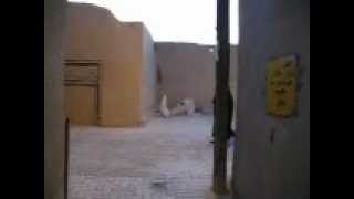 preview picture of video 'Yazd, Iran'