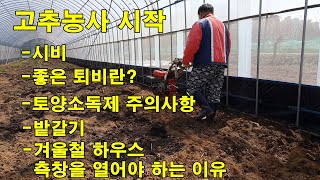 고추농사 시작합니다(시비/좋은 퇴비란/토양소독제 주의사항/밭갈기/겨울철 하우스 측창 개방)