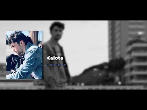 CALOTA - UN CAMION DE BINE 2019