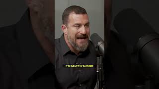 Download lagu The Dangers of Cannabis — Dr. Andrew Huberman mp3