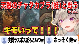 チュートリアルで天敵のチャタカブラ(蛙)と戦うことになって発狂するめっさんw【小森めと/モンハン/ぶいすぽ/切り抜き】