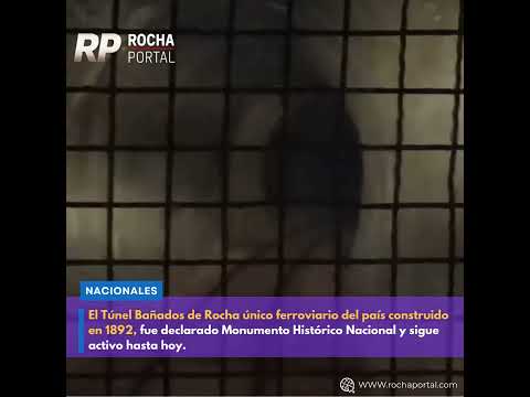 El Túnel Bañados de Rocha el único túnel ferroviario de Uruguay.
